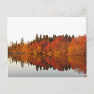Carte Postale Automne