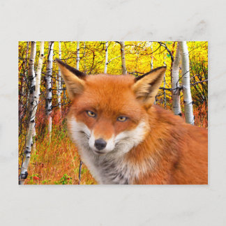Carte Postale "Automne"