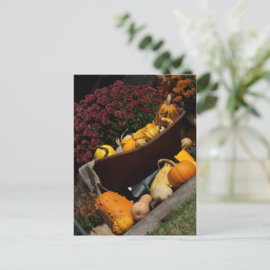 Carte postale Automne (Debout devant)