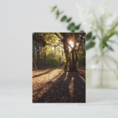 Carte Postale Automne | (Debout devant)