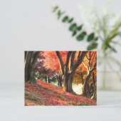Carte Postale Automne (Debout devant)