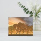 Carte Postale Automne (Debout devant)