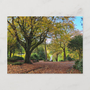 Carte Postale Automne