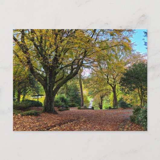 Carte Postale Automne (Devant)