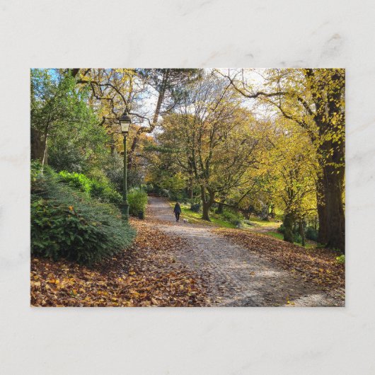 Carte Postale Automne (Devant)