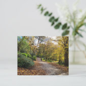 Carte Postale Automne (Debout devant)