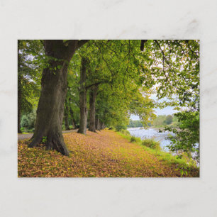 Carte Postale Automne