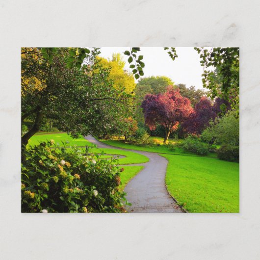 Carte Postale Automne  (Devant)