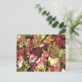 CARTE POSTALE AUTOMNE (Debout devant)