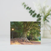 Carte Postale Automne  (Debout devant)