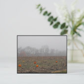 Carte Postale ~ Automne ~ 21 (Debout devant)