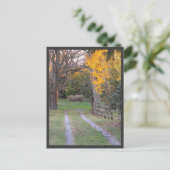 Carte Postale ~ Automne ~ 30 (Debout devant)