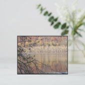 Carte Postale ~ Automne ~ 33 (Debout devant)