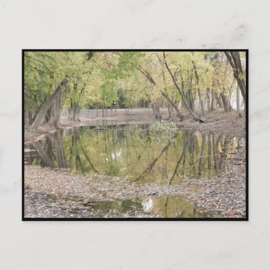 Carte Postale ~ Automne ~ 38 (Devant)