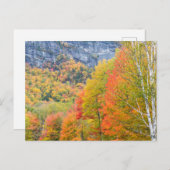 Carte Postale Automne à Grafton Notch State Park, Maine (Devant / Derrière)