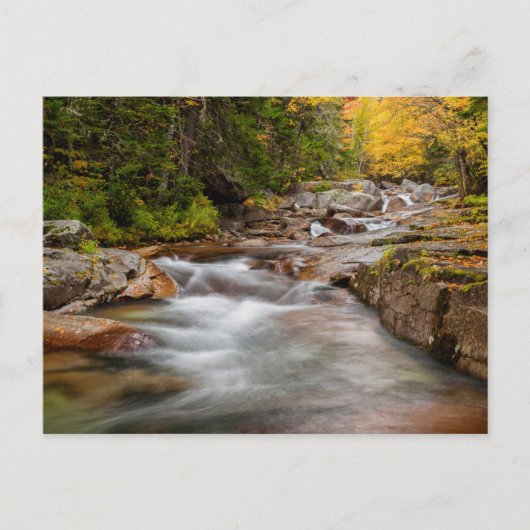 Carte Postale Automne à Jefferson Brook, New Hampshire (Devant)