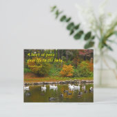 Carte Postale Automne à l'étang de canard (Debout devant)