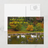 Carte Postale Automne à l'étang de canard (Devant / Derrière)