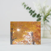 Carte Postale Automne à Montréal (Debout devant)