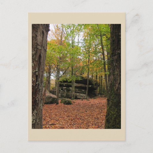 Carte Postale Automne à New York - 1 (Devant)