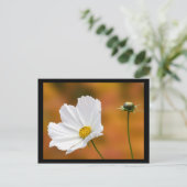 Carte Postale Automne À North Conway New Hampshire (Debout devant)