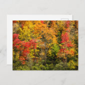 Carte Postale Automne à Sims Pond North Carolina, Blue Ridge (Devant / Derrière)