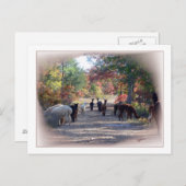 Carte postale Automne Alpaca (Devant / Derrière)