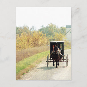 Carte Postale Automne Amish Horse et Buggy