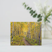 Carte postale Automne Aspen Tree Forest (Debout devant)