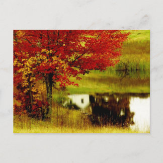 Carte Postale Automne au Kentucky
