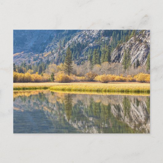 Carte Postale Automne au lac (Devant)