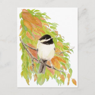 Carte Postale Automne, Automne, Chickadee, Nature des oiseaux