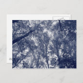 Carte Postale Automne bleu (Devant / Derrière)