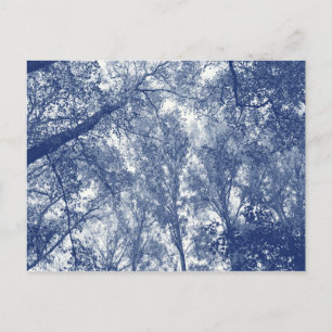 Carte Postale Automne Bleu - Effet Cyanotype