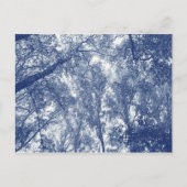 Carte Postale Automne Bleu - Effet Cyanotype (Devant)