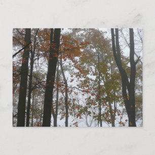 Carte Postale Automne brumeux dans la nature d'automne de Pennsy
