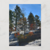 Carte Postale Automne Cascade High Falls Photographie NC (Devant)