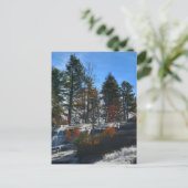 Carte Postale Automne Cascade High Falls Photographie NC (Debout devant)