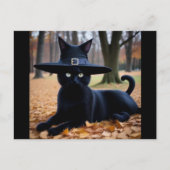 Carte postale Automne Cat Holiday (Devant)