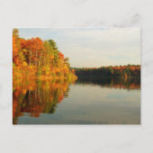 Carte Postale Automne chez Walden (Devant)