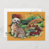 Carte Postale Automne - Chien vous aime plus - Shihpoo - Maggie (Devant / Derrière)
