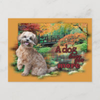 Automne - Chien vous aime plus - Shihpoo - Maggie
