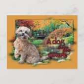 Carte Postale Automne - Chien vous aime plus - Shihpoo - Maggie (Devant)