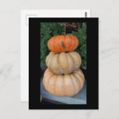 Carte postale Automne citrouille (Devant / Derrière)