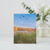 Carte Postale Automne Connecticut peint (Debout devant)
