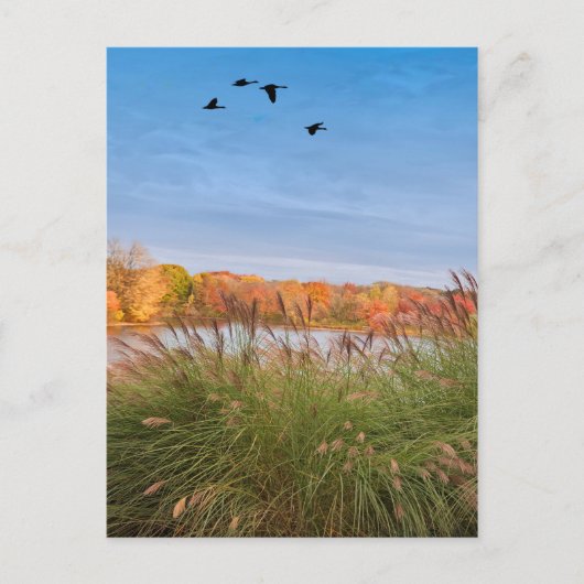 Carte Postale Automne Connecticut peint (Devant)
