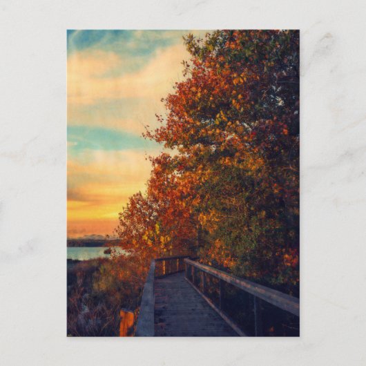 Carte Postale Automne coucher de soleil (Devant)