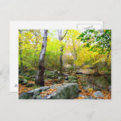 Carte Postale Automne dans le Connecticut (Devant / Derrière)