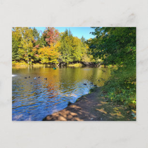 Carte Postale Automne dans le Michigan