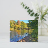 Carte Postale Automne dans le Michigan (Debout devant)